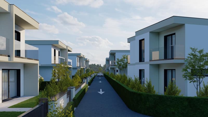 5.5-room new building single-family house with PV in Däniken - quiet & modern (3)