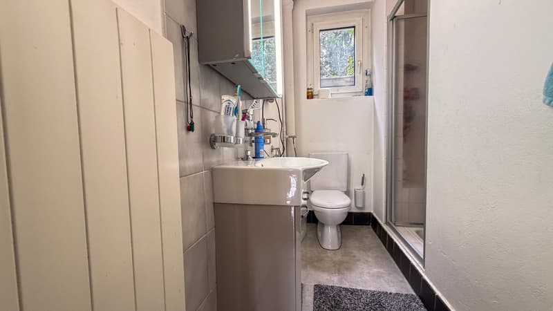 Two-family house (2 units) with large garden in Bettlach for sale (13)