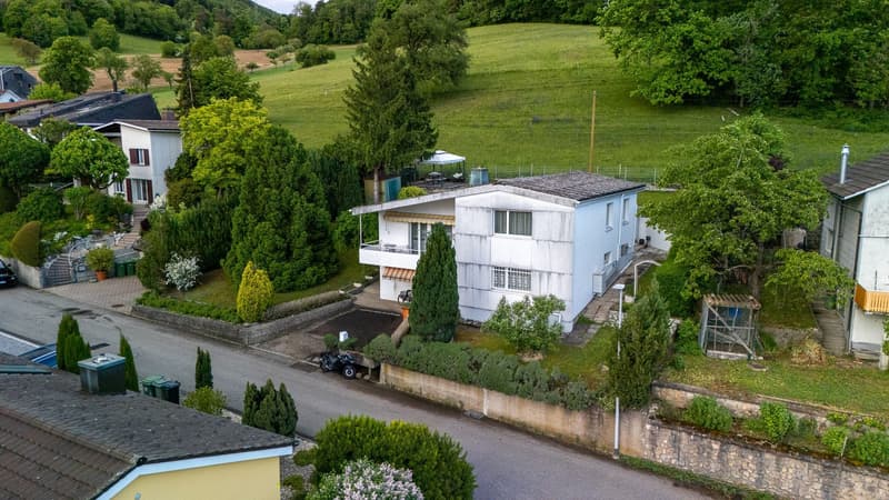 7.5-Zimmer-Einfamilienhaus mit Wintergarten in Trimbach kaufen (1)