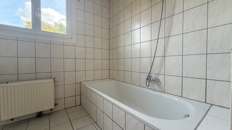 6-Zimmer-Einfamilienhaus in Bad Zurzach kaufen (10)