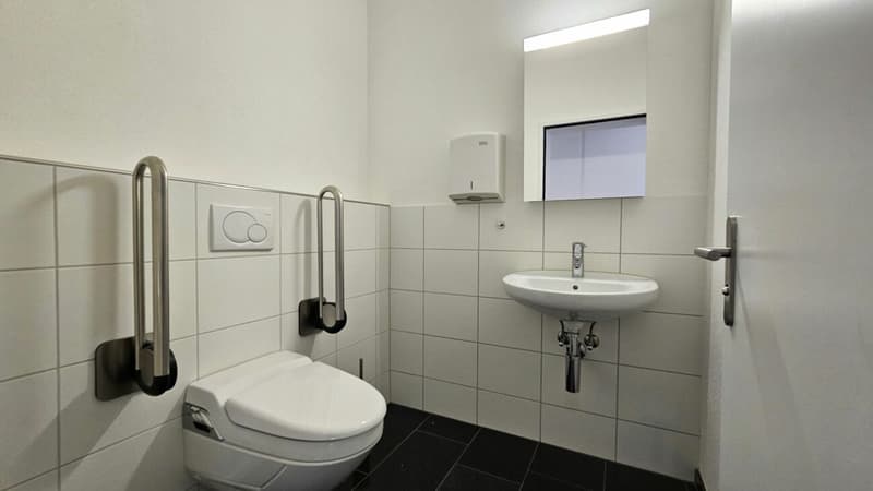 Ihr Standort im repräsentativen Business Park in der steuerbegünstigten Gemeinde Freienbach (9)