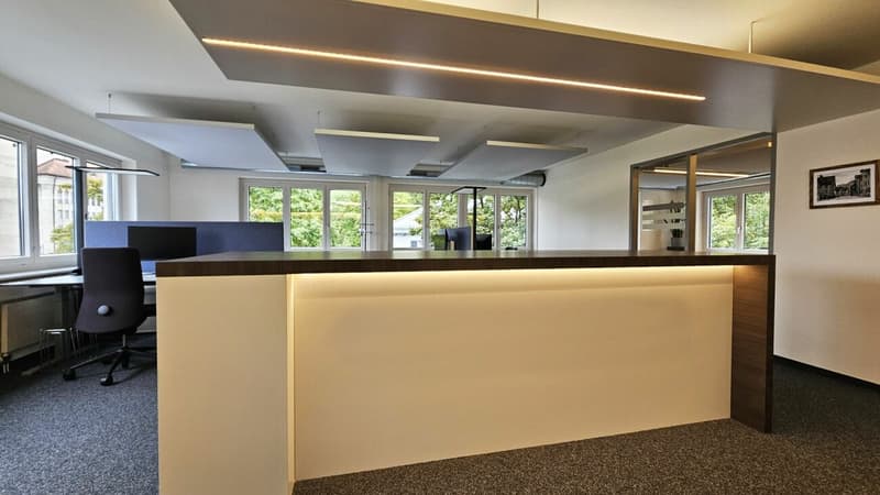 Schön ausgebaute und praktisch unterteilte Büro-/Gewerbefläche «Plug & Work» (3)