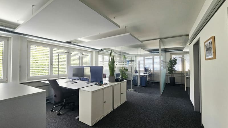Schön ausgebaute und praktisch unterteilte Büro-/Gewerbefläche «Plug & Work» (2)