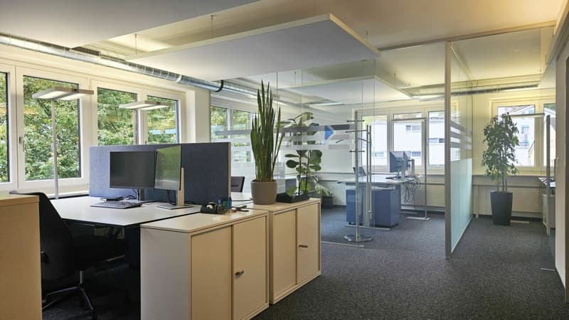 Schön ausgebaute und praktisch unterteilte Büro-/Gewerbefläche «Plug & Work» (5)