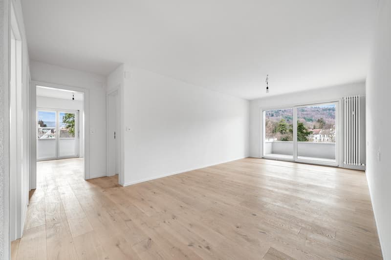 Ampio appartamento 4.5 locali (4)