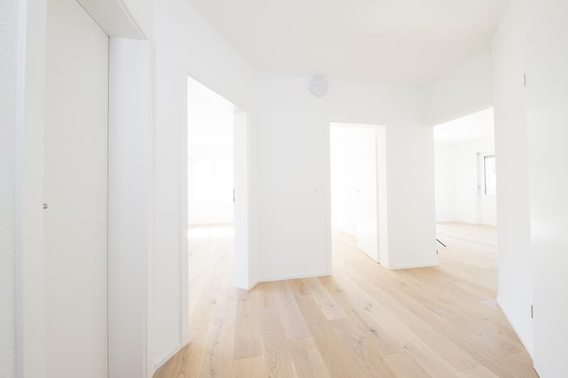 Appartamento ristrutturato di 4,5 locali con vista panoramica (3)