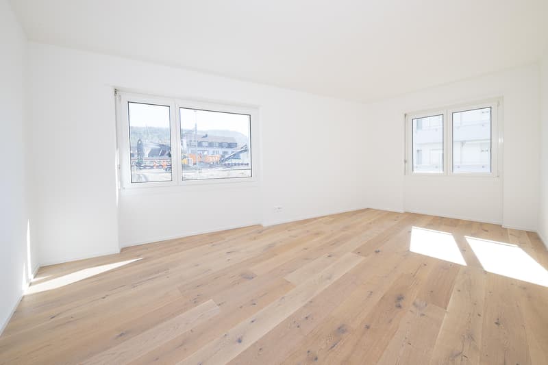 Appartamento ristrutturato di 4,5 locali con vista panoramica (2)