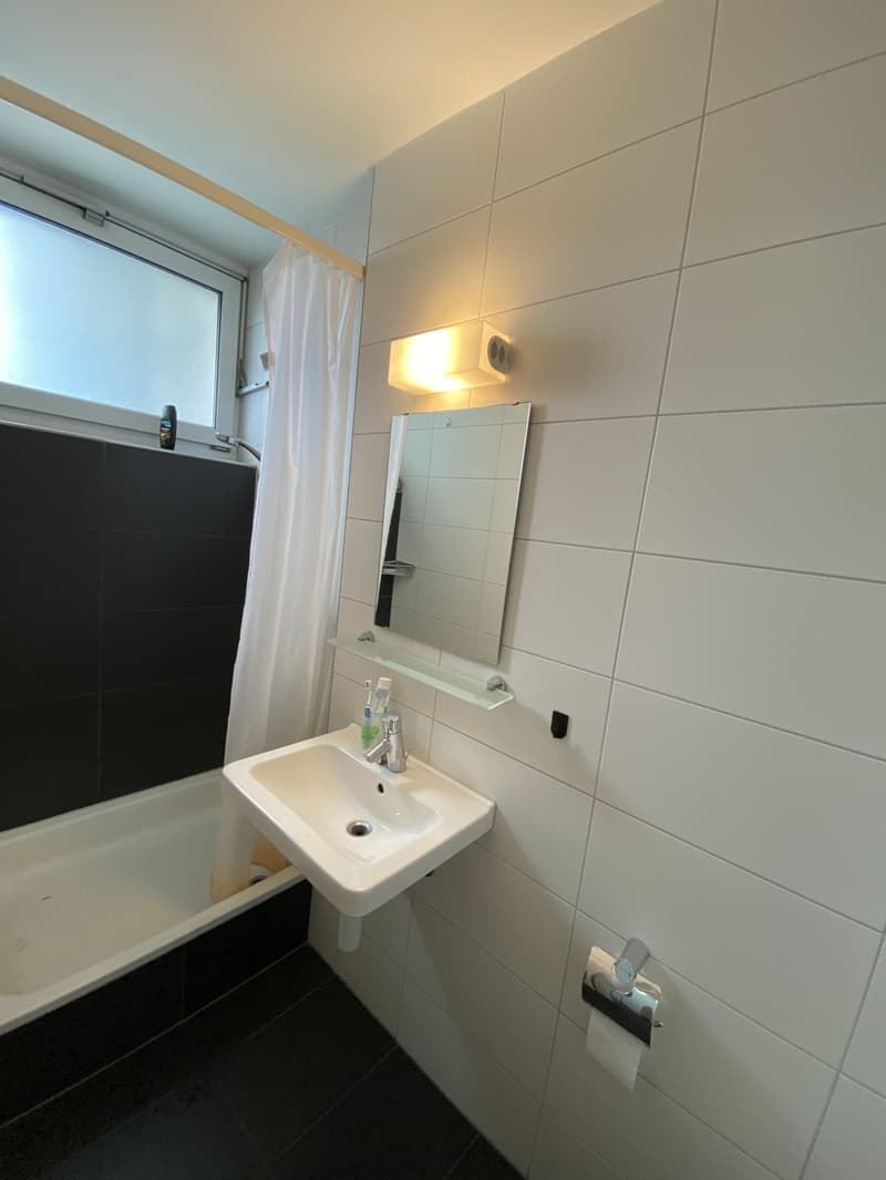 Appartamento 1 camera arredato con stile a Kleinbasel (6)