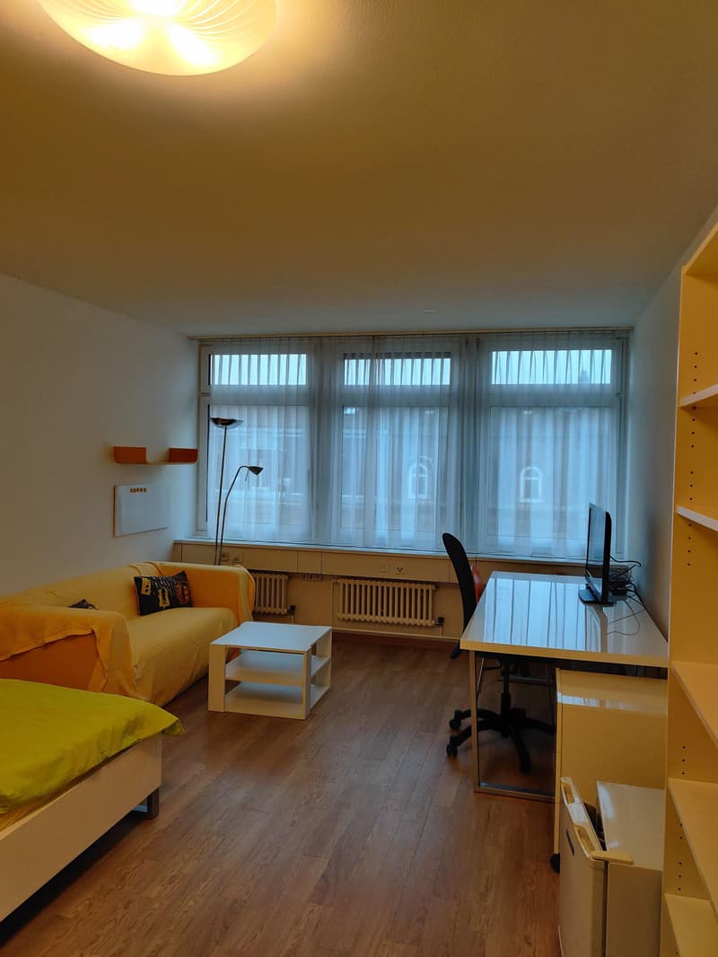 Appartamento 1 camera arredato con stile a Kleinbasel (2)