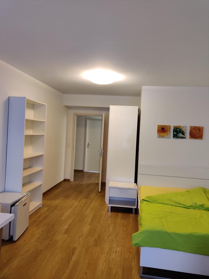 Appartamento 1 camera arredato con stile a Kleinbasel (3)