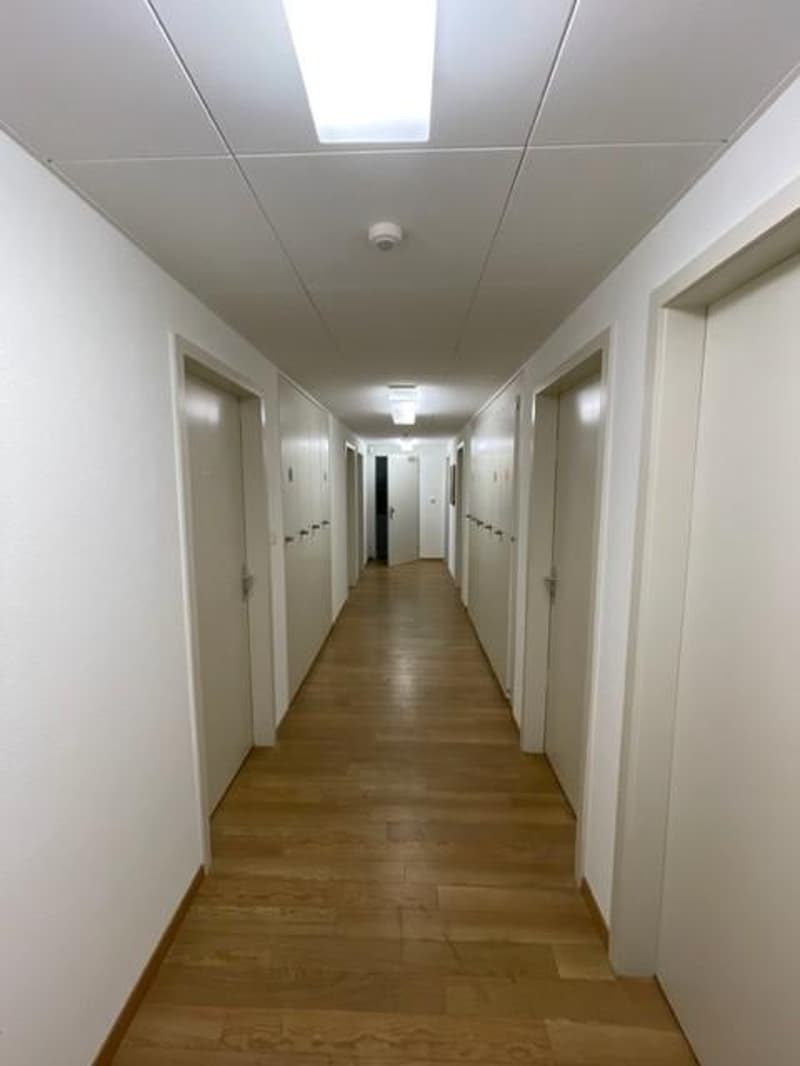 Stilvoll möblierte 1-Zimmerwohnung in Kleinbasel (5)