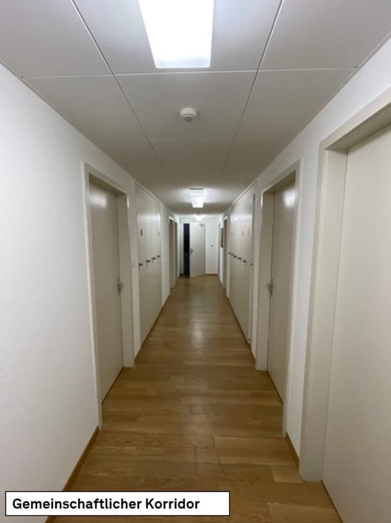 Stilvoll möblierte 1-Zimmerwohnung in Kleinbasel (5)