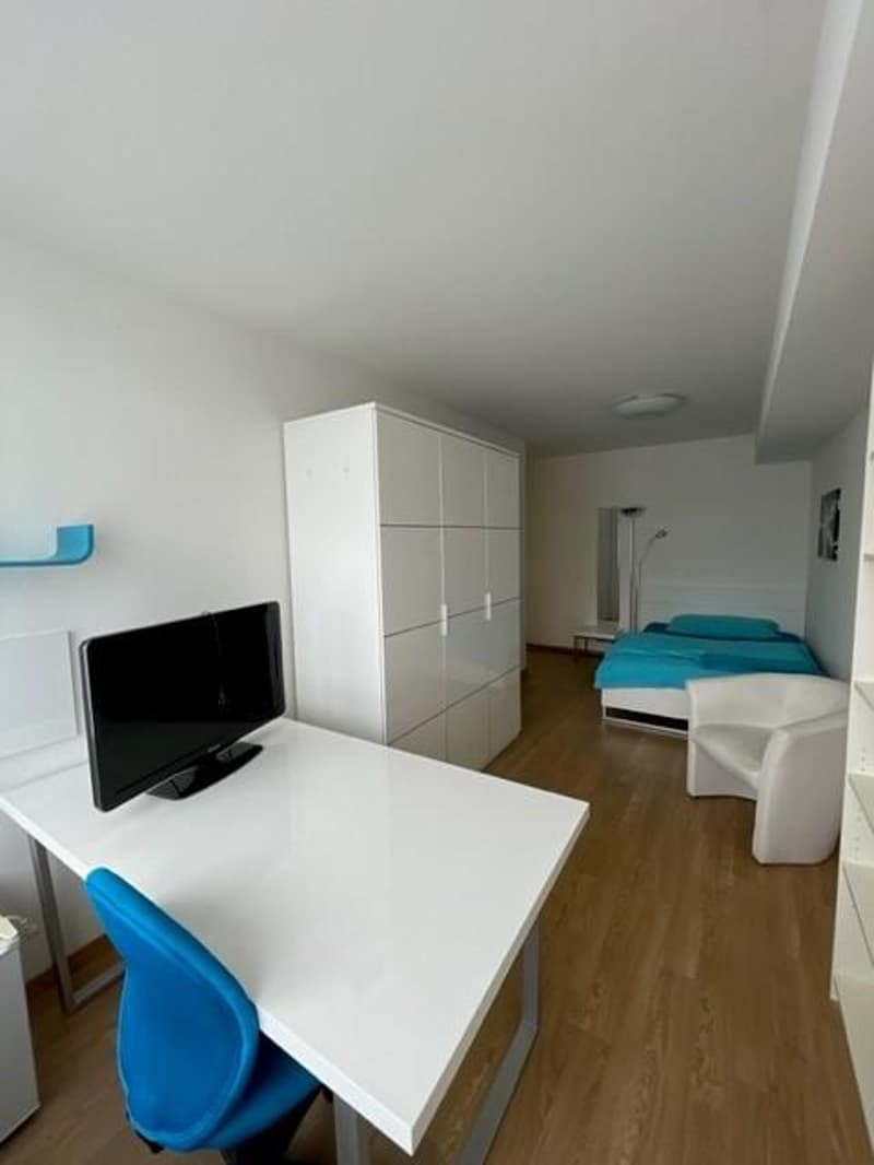 Stilvoll möblierte 1-Zimmerwohnung in Kleinbasel (3)
