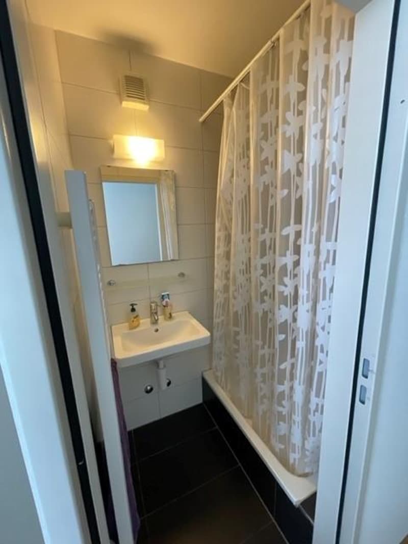 Stilvoll möblierte 1-Zimmerwohnung in Kleinbasel (7)