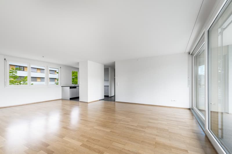 Grosszügige 4.5-Zimmerwohnung an Toplage (2)