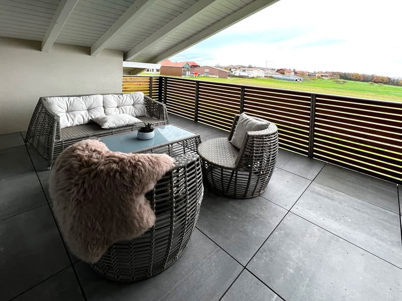 balcony, wicker furniture, a table, a glass top table, pillows, potted plant, fur rug, tiled floor