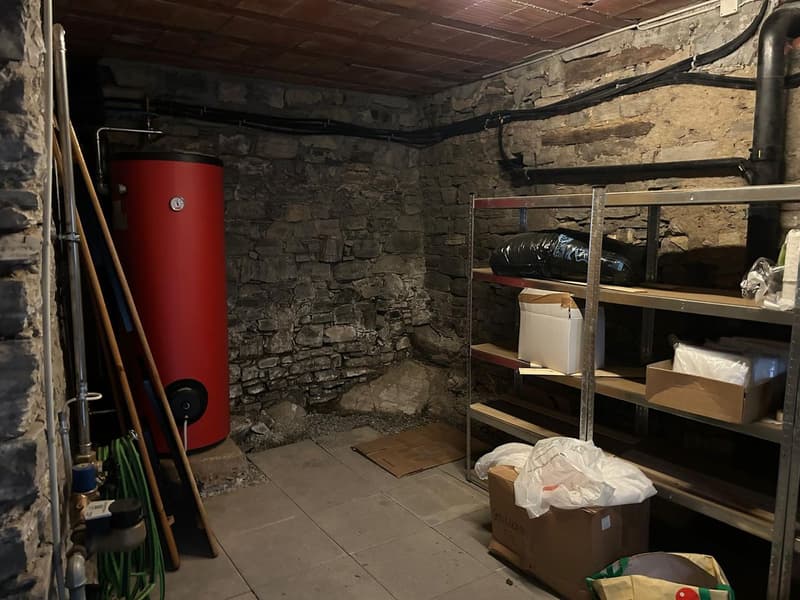 Appartement de deux pièces moderne complètement rénové dans le noyau de Cabbio (7)