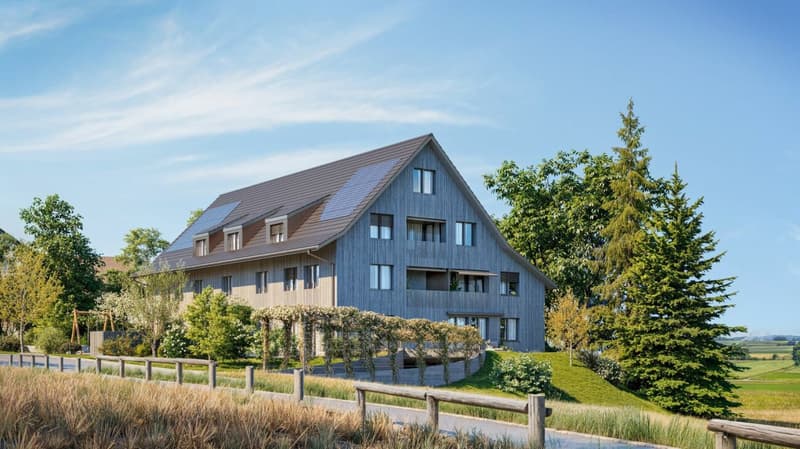 Lichtdurchflutete Dachwohnung im «Waidhof» (2)
