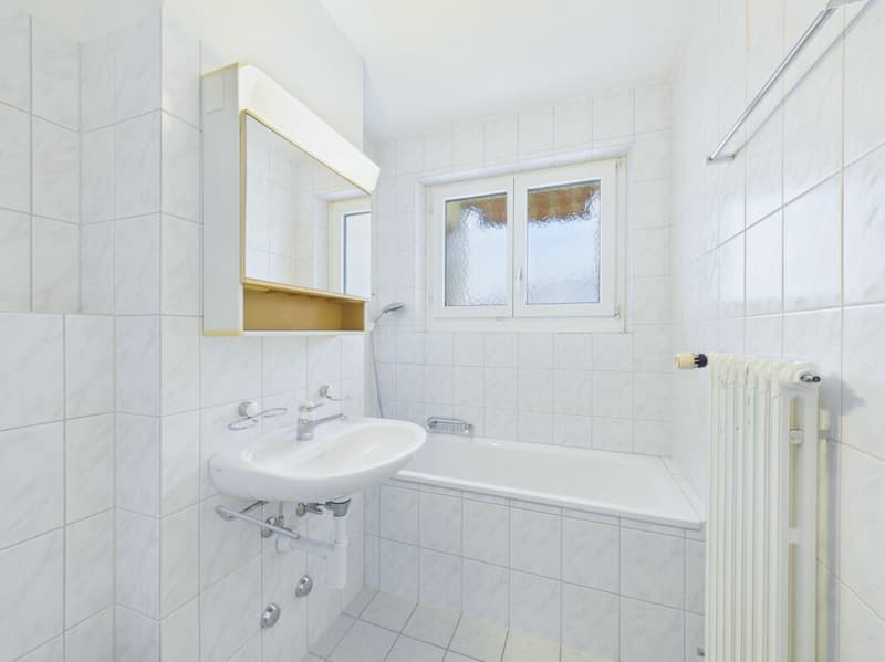 4.5-Zimmer-Maisonette befristet für 1 Jahr zu vermieten (6)