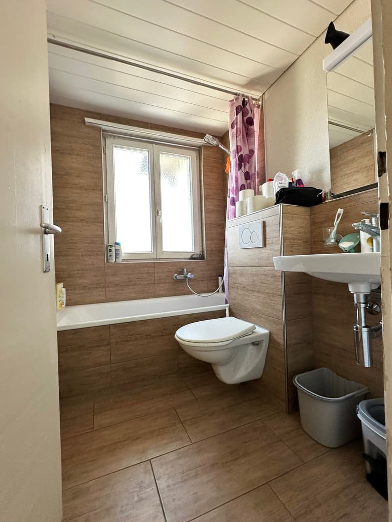 Rental property with 3 apartments (6)