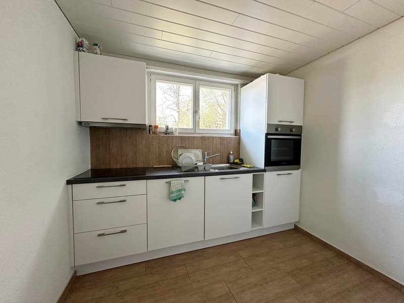 Rental property with 3 apartments (7)