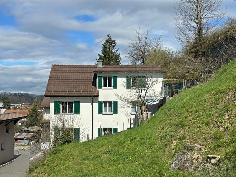 Rental property with 3 apartments (1)