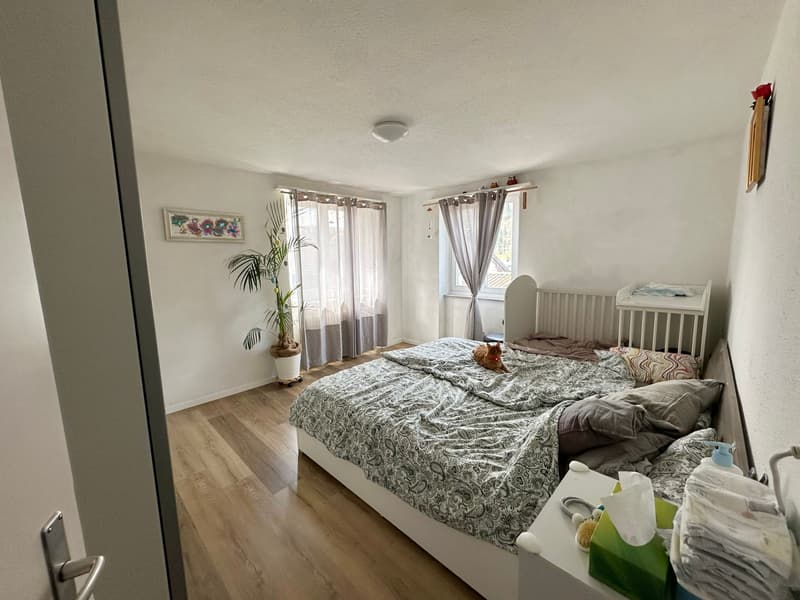 Rental property with 3 apartments (2)