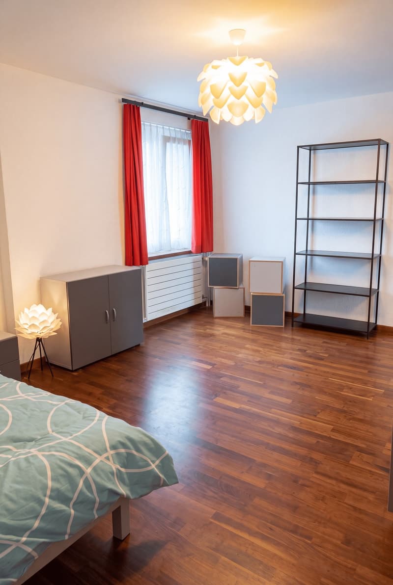 Cozy 4.5 room apartment (1)