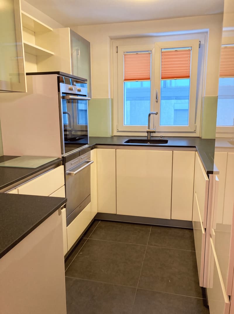Cozy 4.5 room apartment (2)