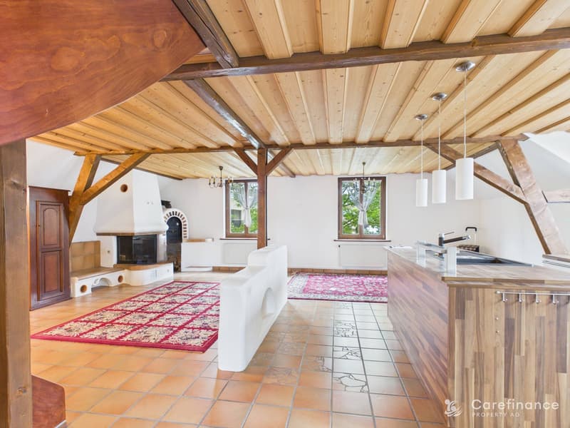 Charming 8-room two-family house with garden paradise and diverse usage possibilities (4)