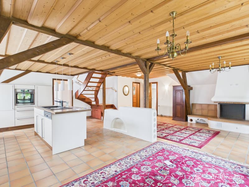 Charming 8-room two-family house with garden paradise and diverse usage possibilities (5)