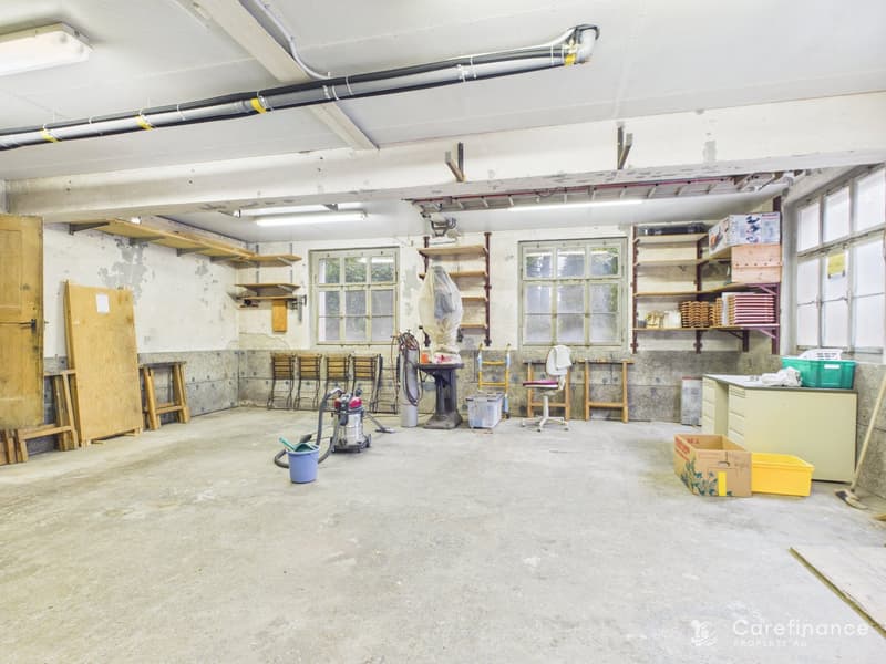 Charming 8-room two-family house with garden paradise and diverse usage possibilities (19)
