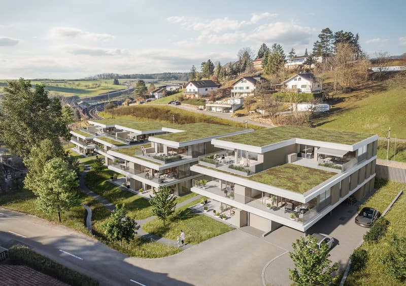 Unsere letzte 2.5-Zimmer-Attikawohnung, im Neubauprojekt Bachgarten (2)