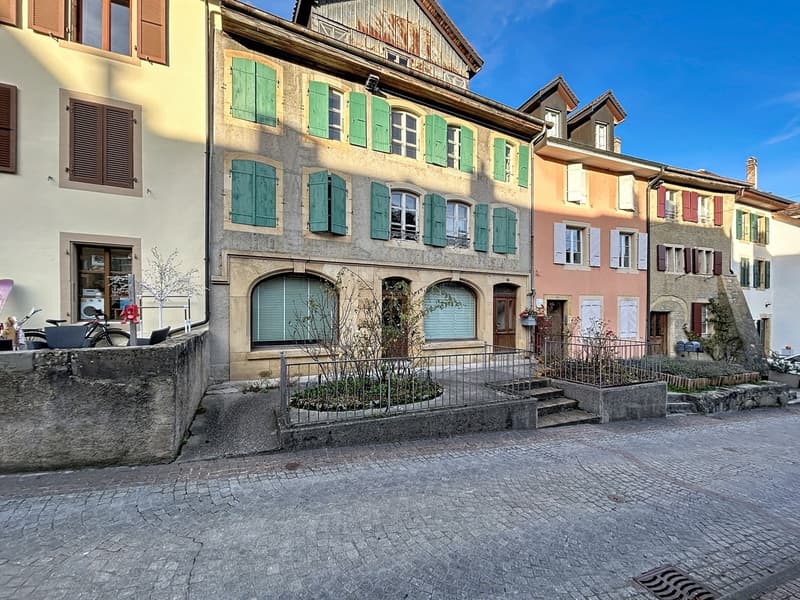 House with 3 levels and attic with very beautiful gardens (1)