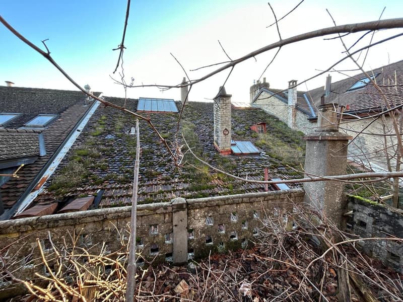 House with 3 levels and attic with very beautiful gardens (3)