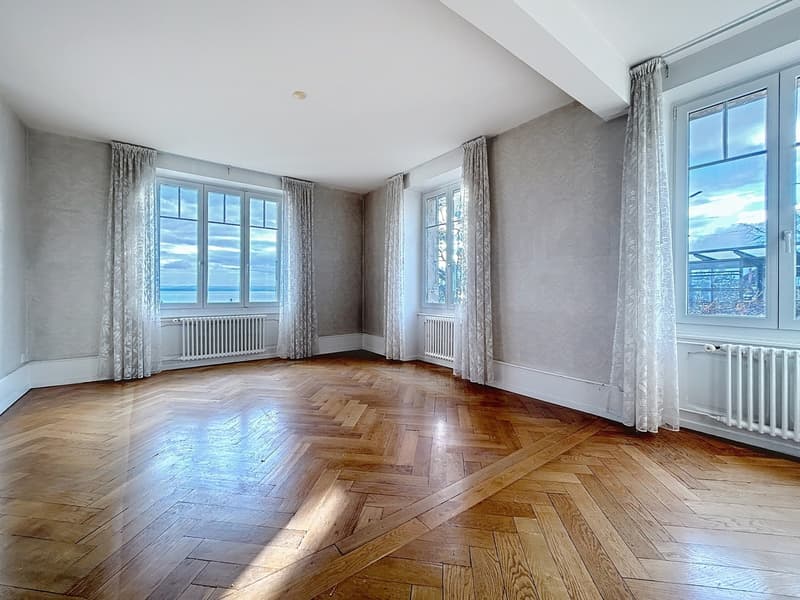 Maison de caractère de 3 appartements avec vue sur le lac (5)
