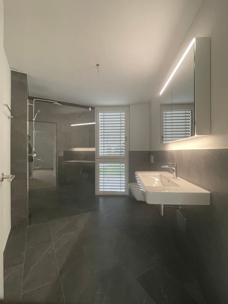 Modern 3.5 room apartment (7)