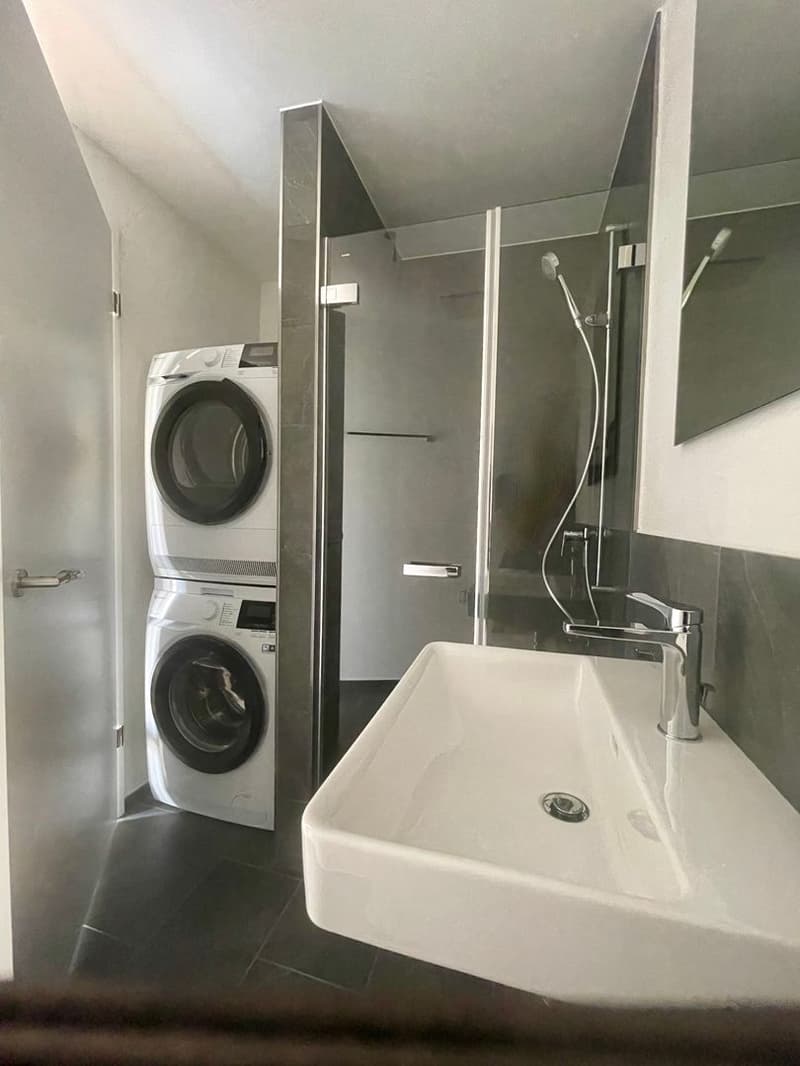 Modern 3.5 room apartment (9)