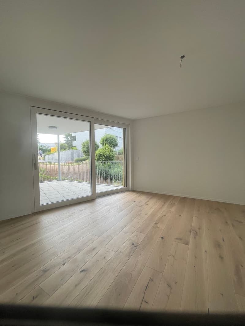 Modern 3.5 room apartment (6)
