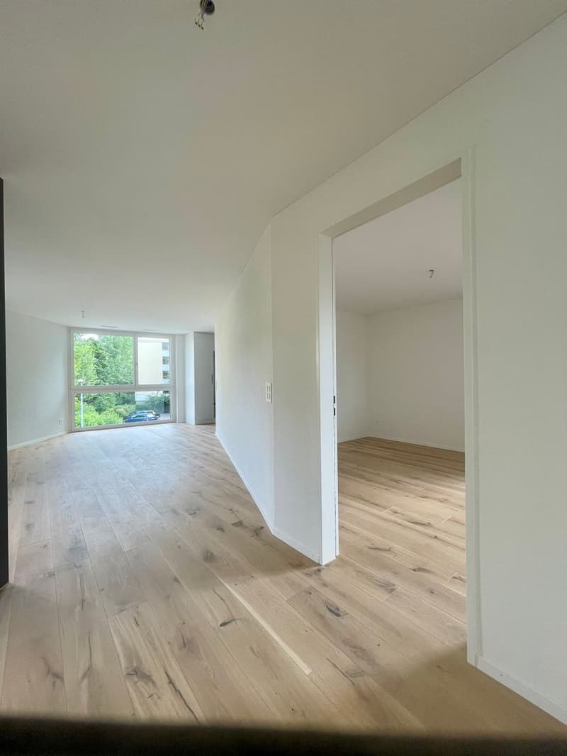 Modern 3.5 room apartment (5)