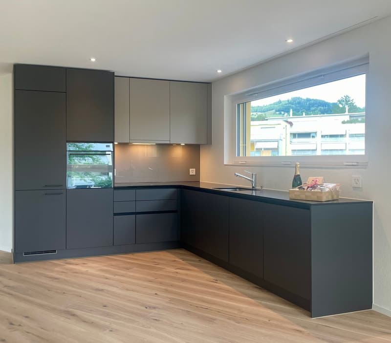 Modern 3.5 room apartment (3)