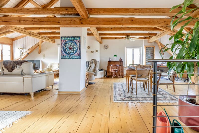 Idyllic Living: Detached 7.5-Room Farmhouse with Barn (3)