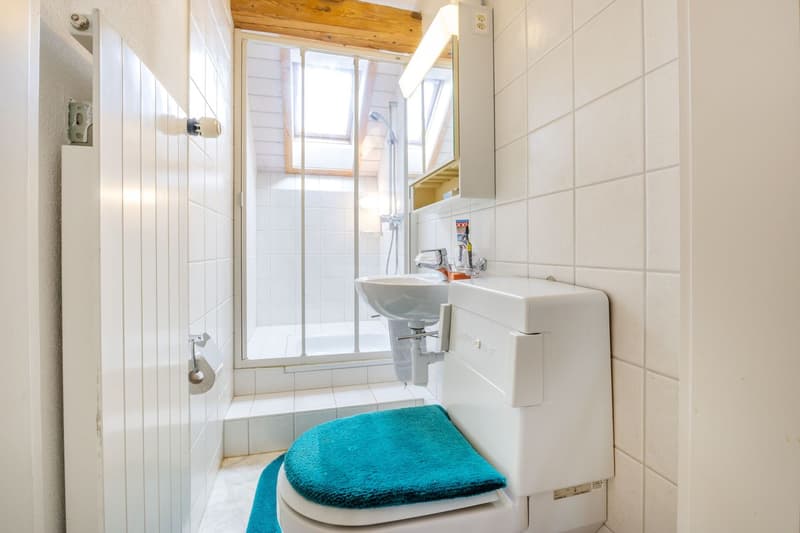 Idyllic Living: Detached 7.5-Room Farmhouse with Barn (7)