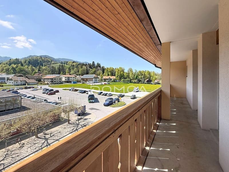 Renovated apartment with view of Moléson (7)