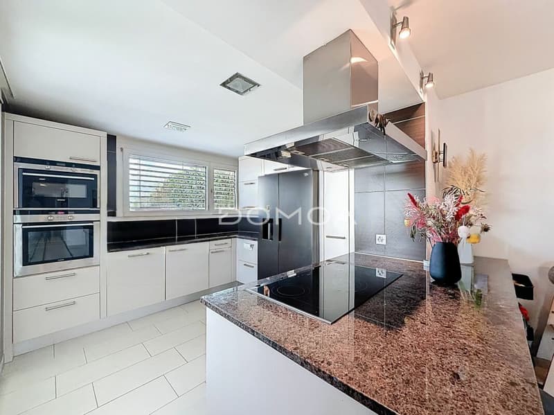 Beautiful 4.5-room apartment with terrace and garden (3)