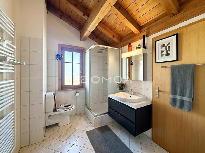 Authentic chalet with unobstructed view and large plot (5)