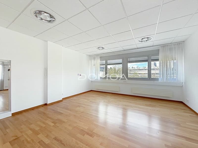 Large apartment in the heart of Fribourg - great potential and return (2)