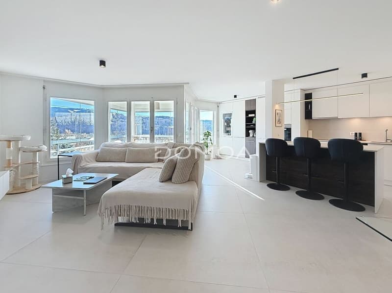 Attic 4.5 rooms renovated with large terrace - Brightness, character and comfort! (1)