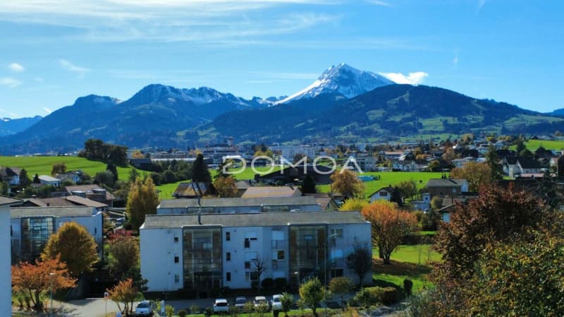 Contemporary attic 4.5 rooms, 162 m2 with panoramic view of the Moléson and winter garden (9)