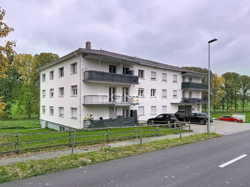 Bel appartement 4,5 pièces avec terrasse, idéal pour investisseur ou premier achat (1)
